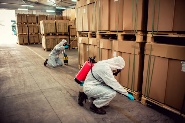 Best Rat Extermination Near Me  in Huntley, IL
