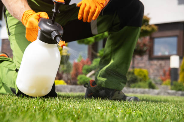 Pest Control for Restaurants in Huntley, IL