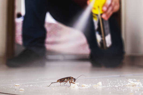 Trusted Huntley, IL Pest Control Experts